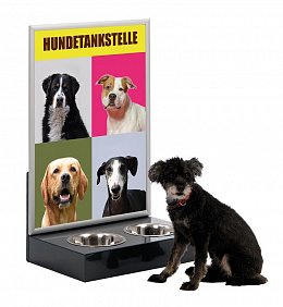 Poster A1 with dog water station